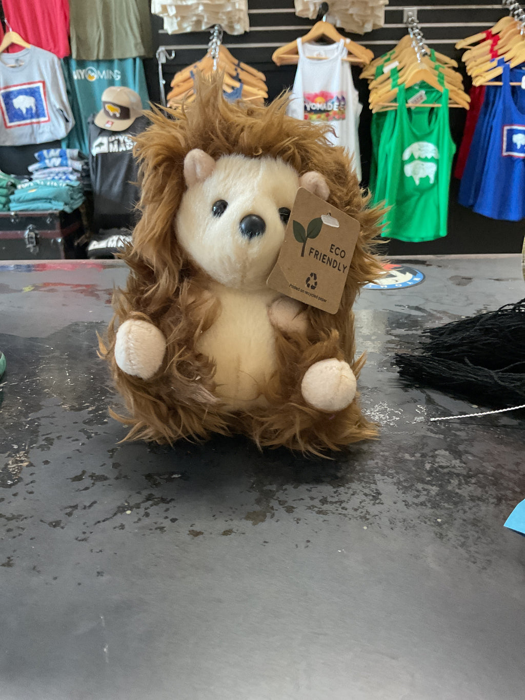 Hedgehog and Dollie