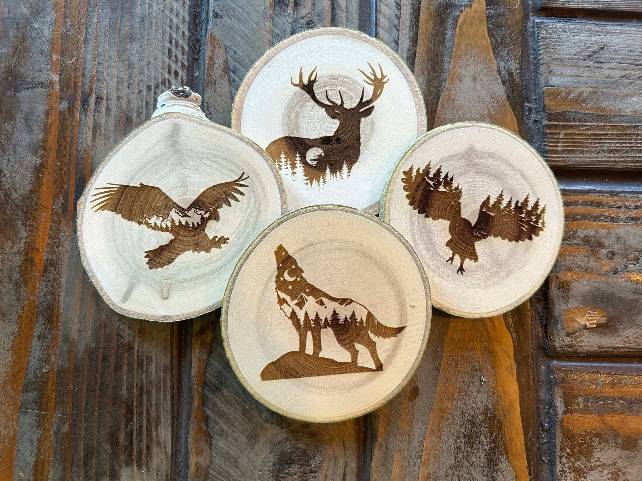 Eagle Coaster, Bald Eagle, American Icon, Forest Mountains