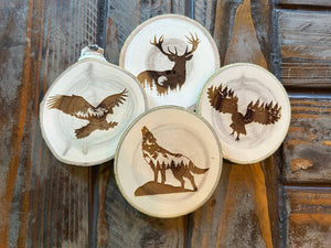 Eagle Coaster, Bald Eagle, American Icon, Forest Mountains
