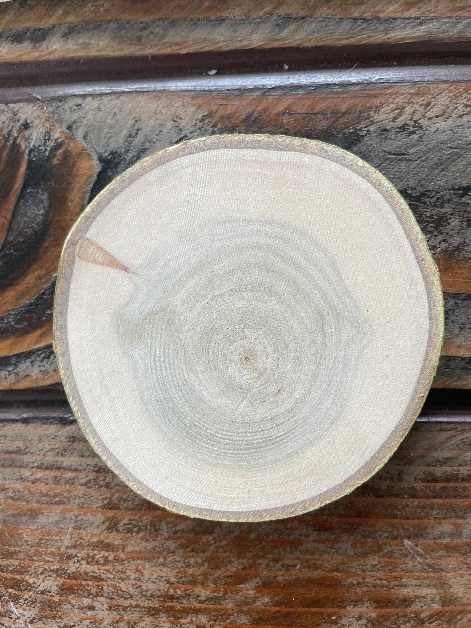 Bear Coaster, Colorado Aspen Wood, Laser Engraved