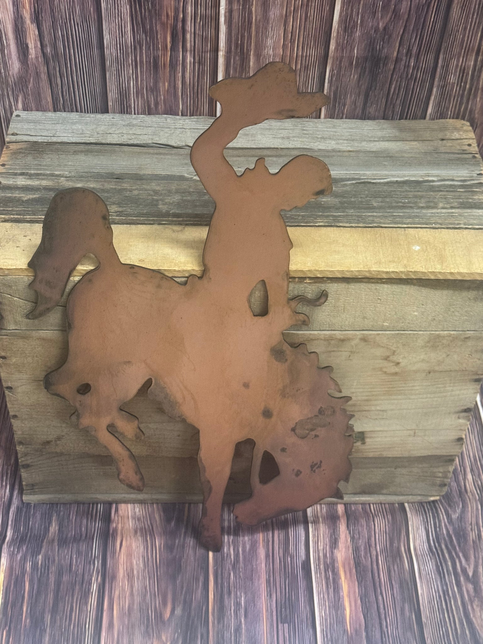 24" steamboat metal wall art