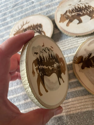 Bear Coaster, Colorado Aspen Wood, Laser Engraved