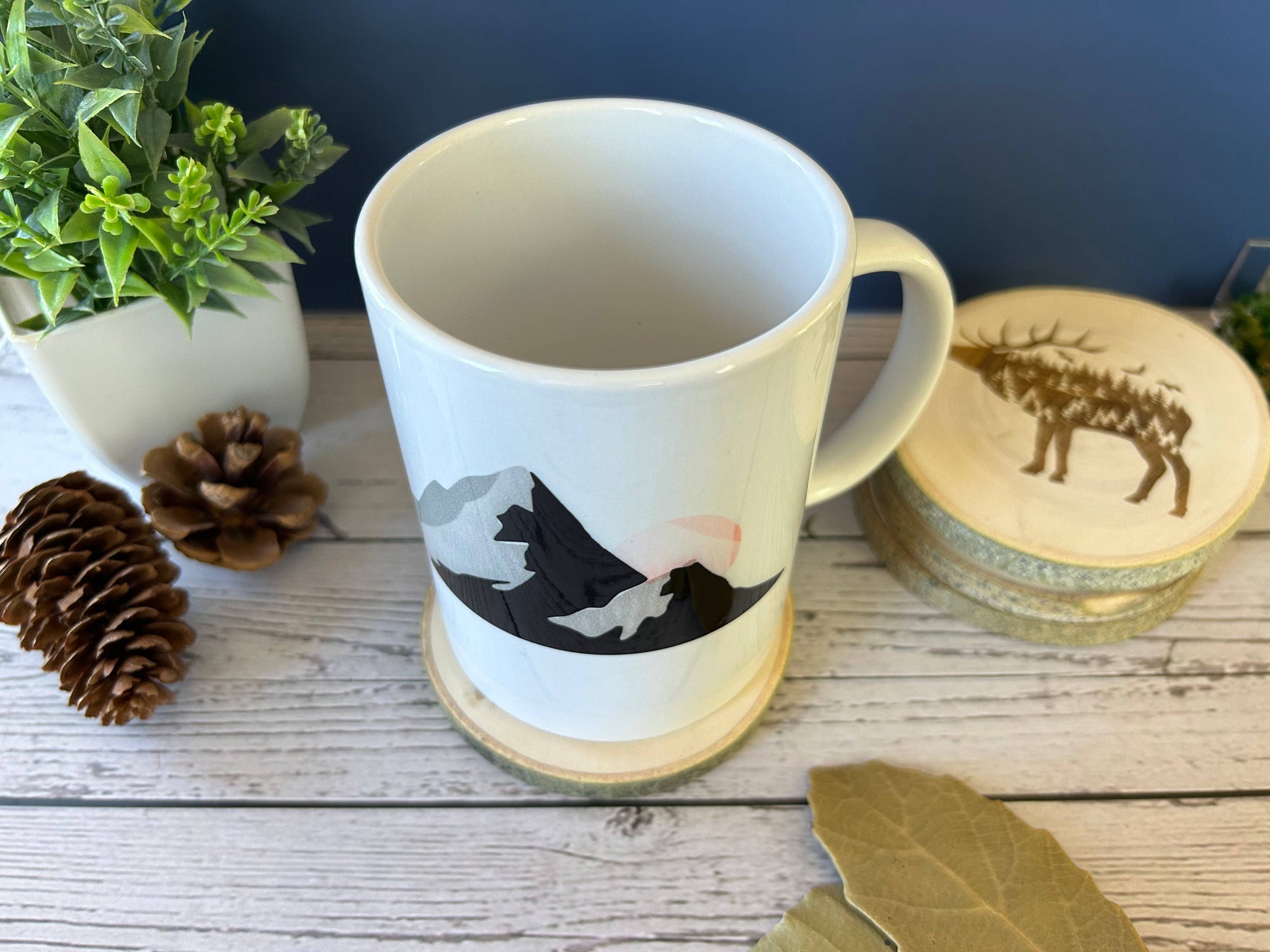 Eagle Coaster, Bald Eagle, American Icon, Forest Mountains