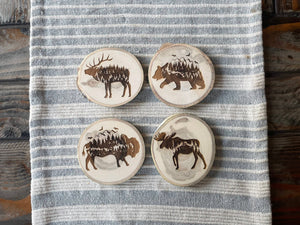 Bison Coaster, Aspen Wood, Laser Engraved, Buffalo Art