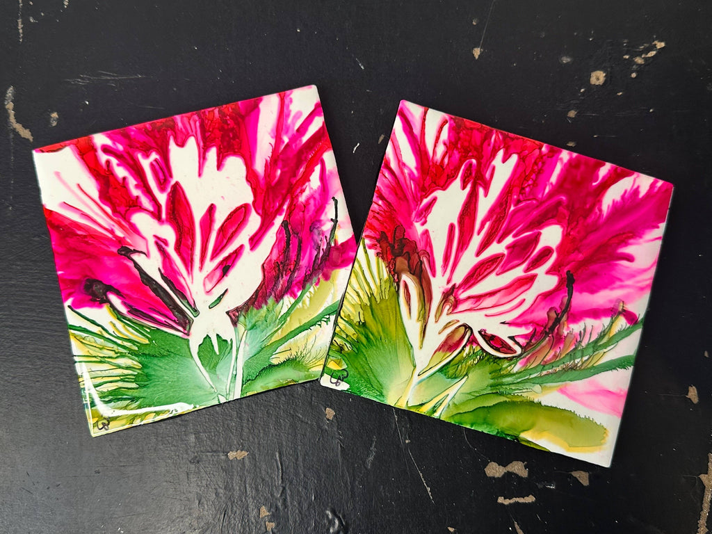 Indian Paintbrush Coaster Set