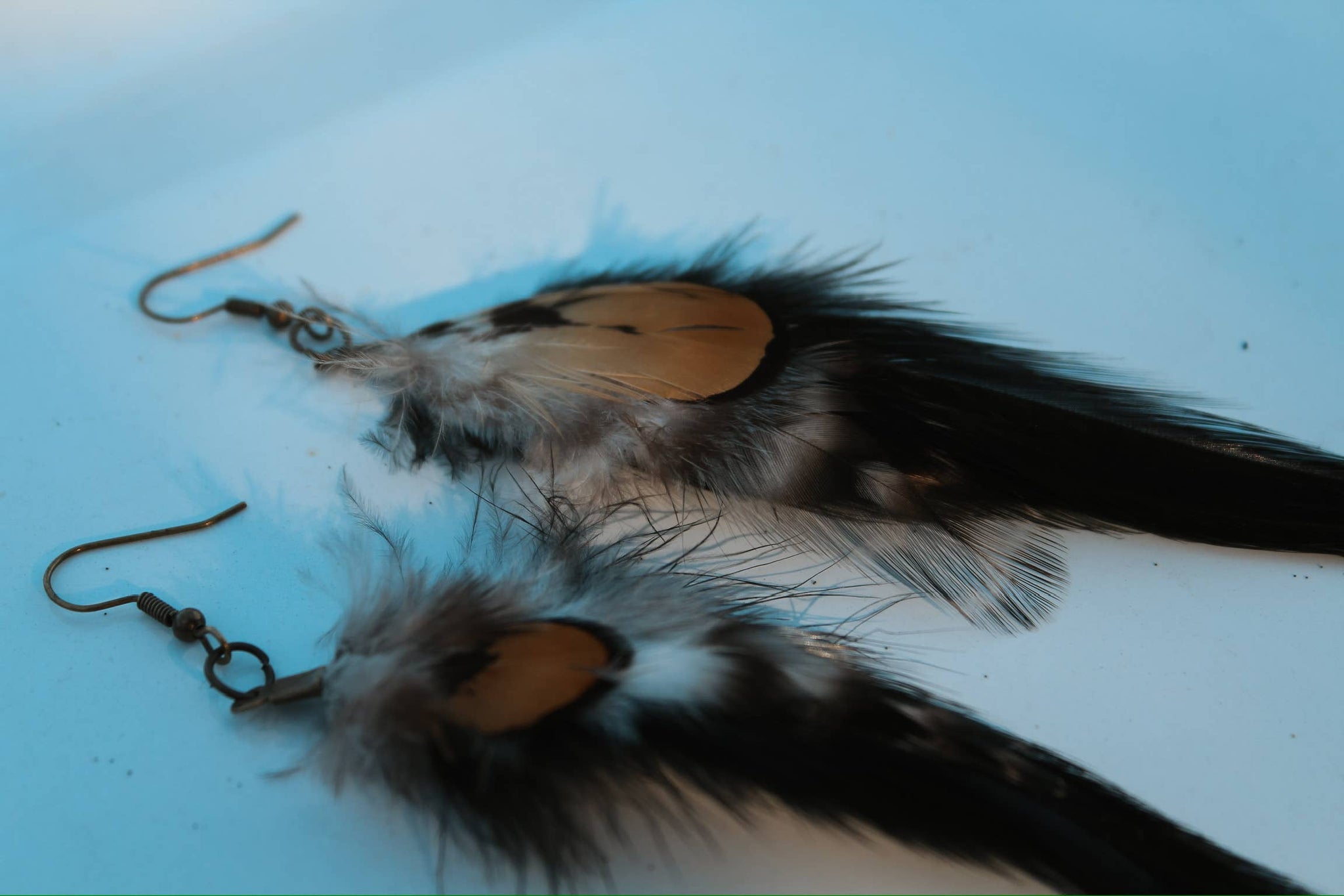  Case Feather Earrings 