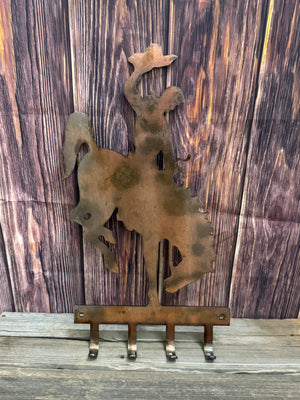 steamboat coat hangers