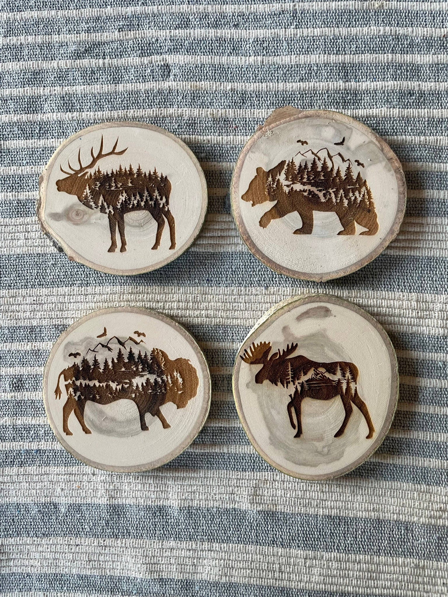 Bison Coaster, Aspen Wood, Laser Engraved, Buffalo Art