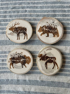 Bison Coaster, Aspen Wood, Laser Engraved, Buffalo Art