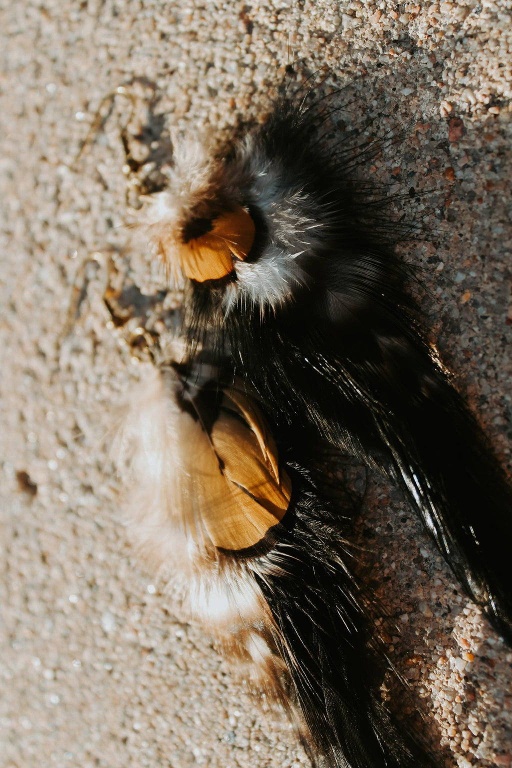  Case Feather Earrings 