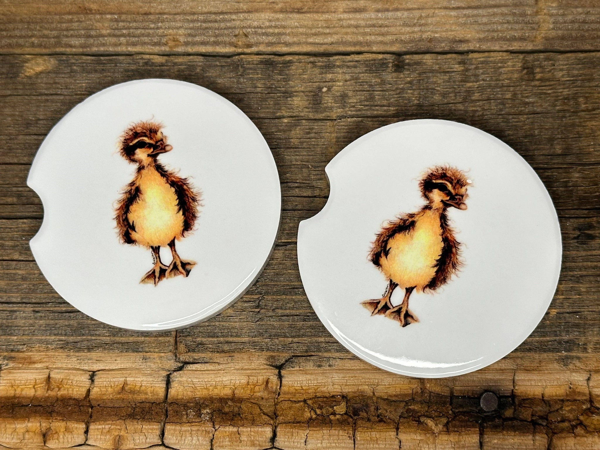 Set of 2 Original Art Duck Car Coasters by Terri