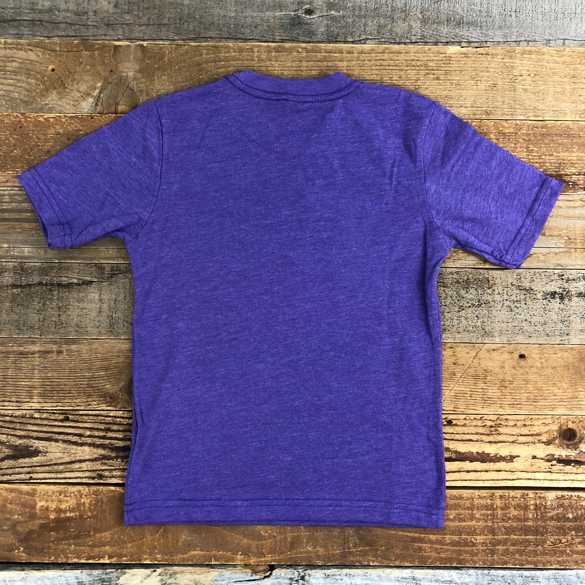 Wyoming Bison Flag Tee | WyoMade Apparel | Youth