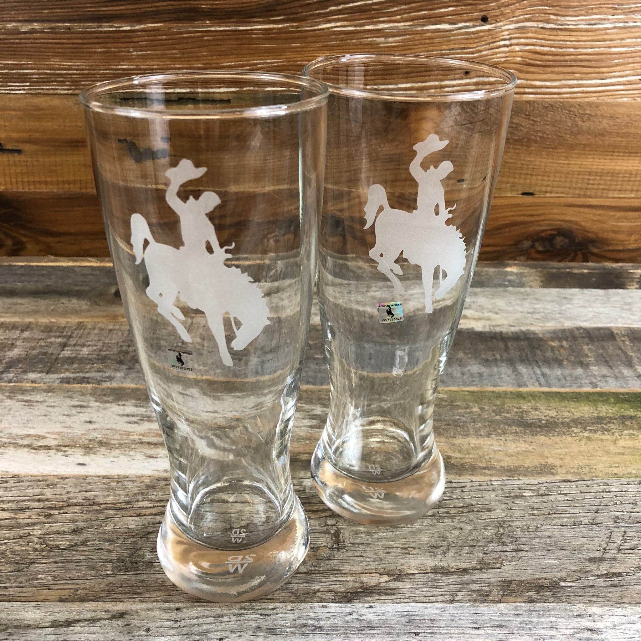 WYO Steamboat Pilsner Glasses